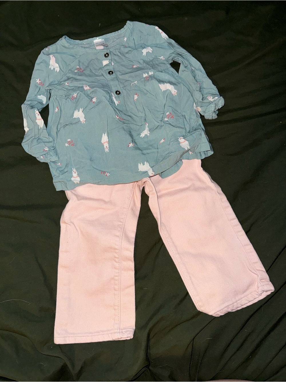 Carter's Teal Long-Sleeve Top with Llama and pink Carter pants